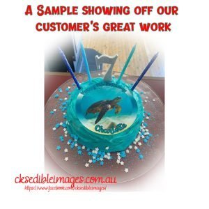 Underwater Sea Turtle Coles Woolworths Mudcake Hack